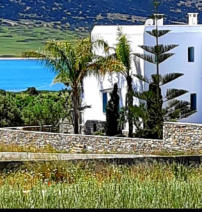 Villa Sofi in Saint George Antiparos (pool&sea)